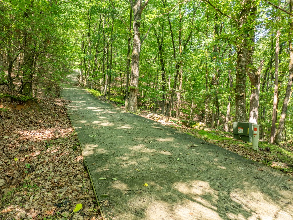 3.65 Ac Emory Stephens Rd. Property Photo 22