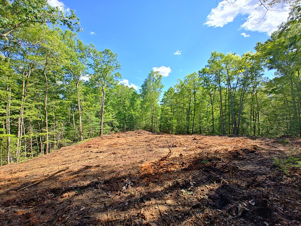 Lot 3 Megan Trace Drive Property Photo 1