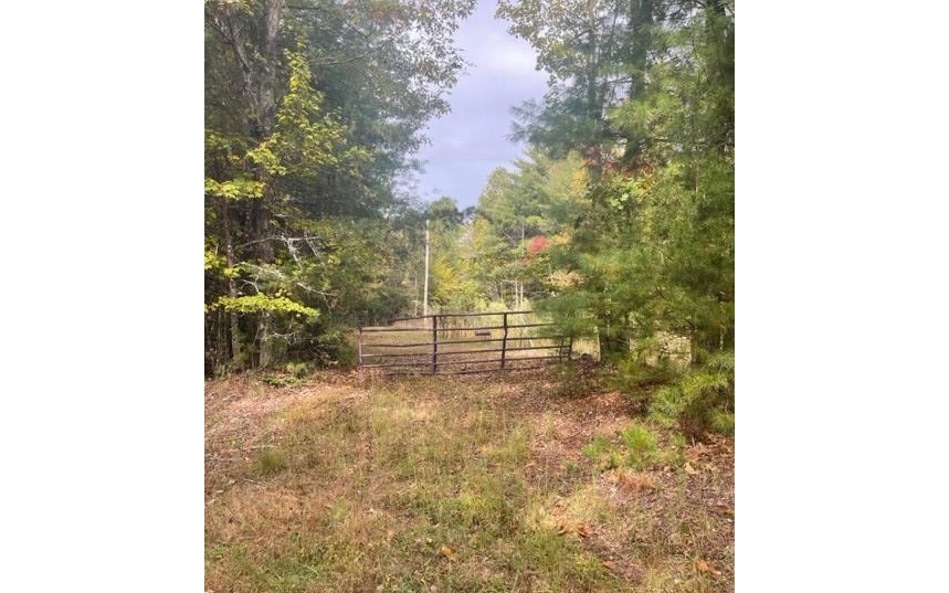 Tbd Tobe Stalcup Road Property Photo 1
