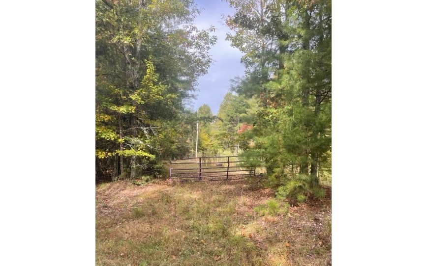 Tbd Tobe Stalcup Road Property Photo 3