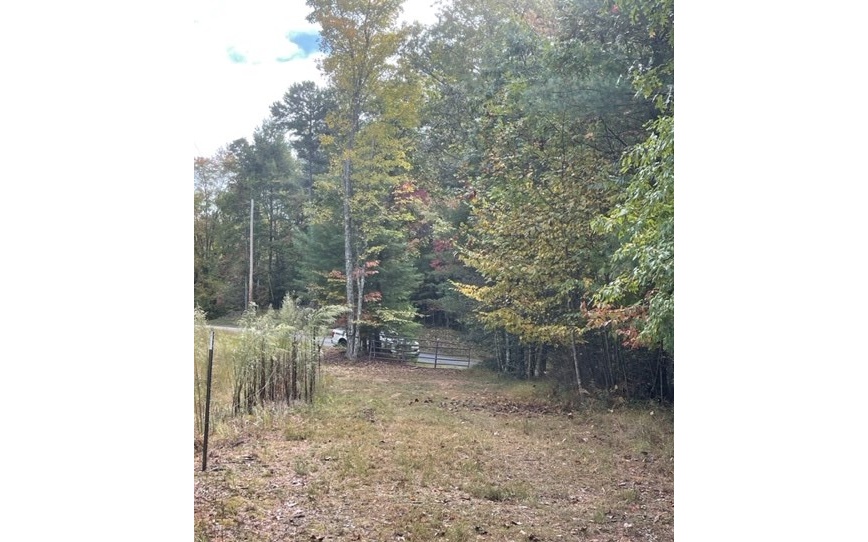Tbd Tobe Stalcup Road Property Photo 4