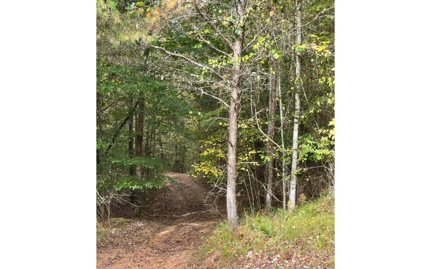 Tbd Tobe Stalcup Road Property Photo 6