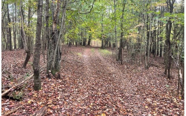 Tbd Tobe Stalcup Road Property Photo 8