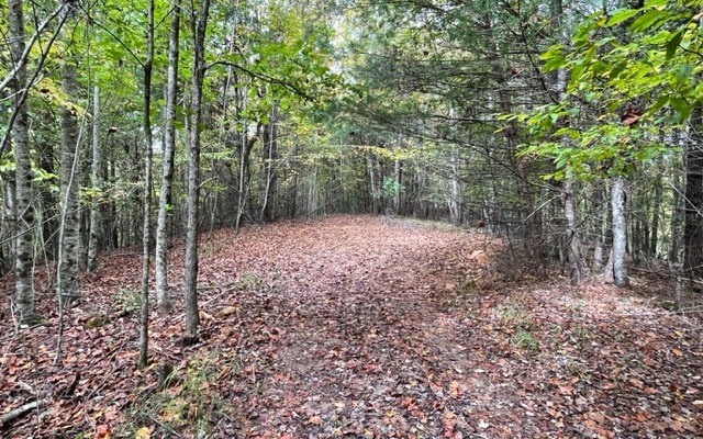 Tbd Tobe Stalcup Road Property Photo 9