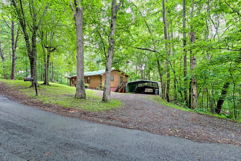 5827 Brasstown Creek Est Property Photo 1