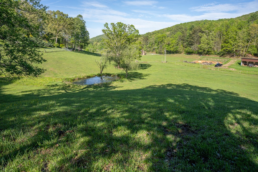 564 Wright Road Property Photo 34