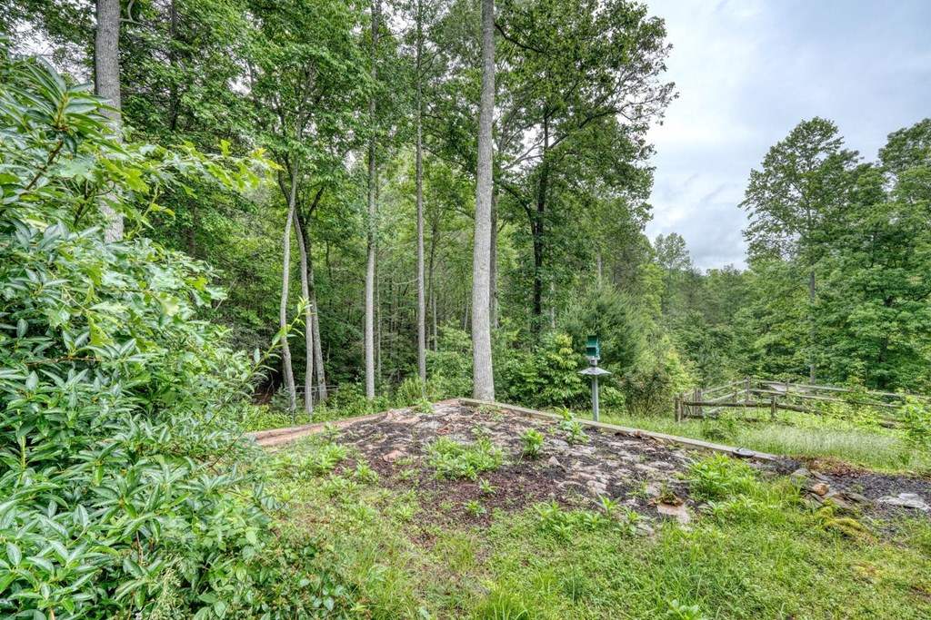 311 Lonesome Pine Trail Property Photo 59