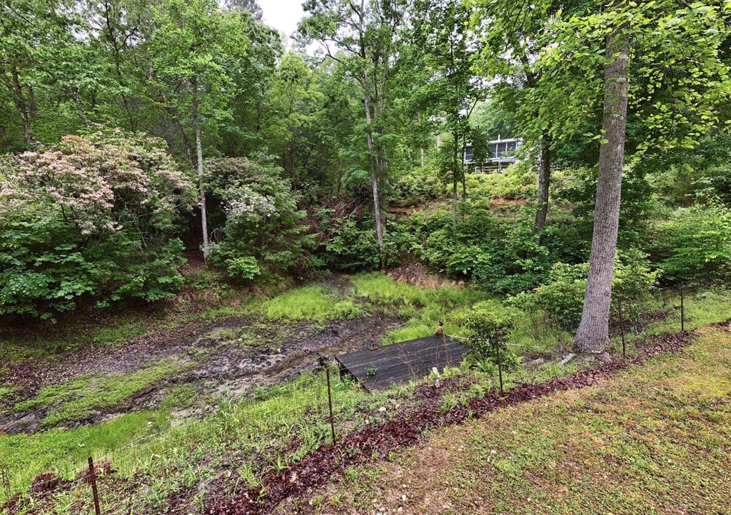 311 Lonesome Pine Trail Property Photo 61