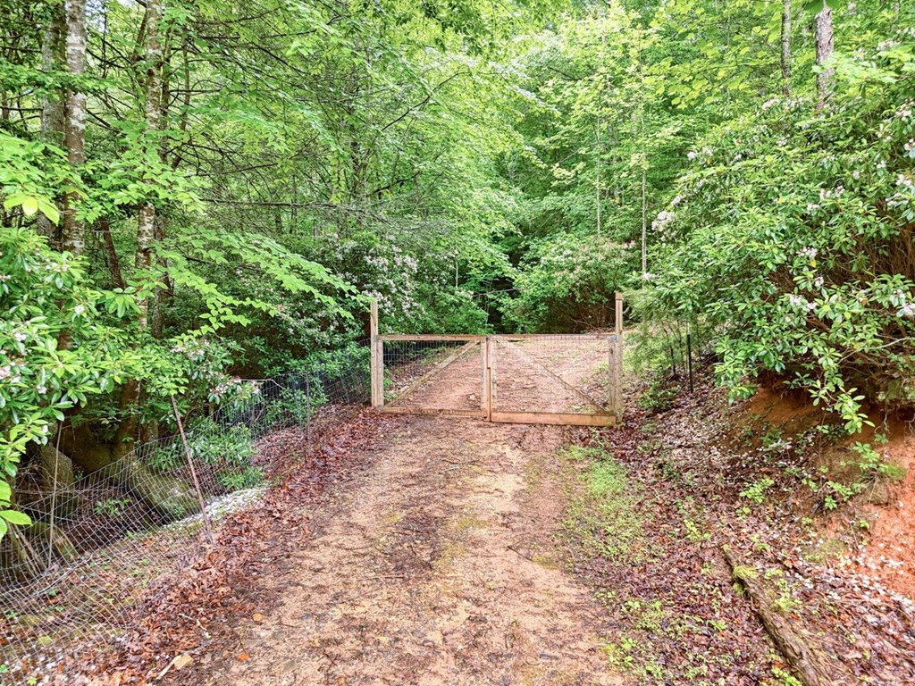311 Lonesome Pine Trail Property Photo 69
