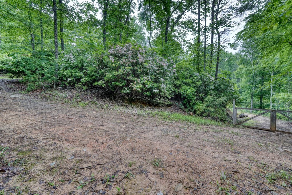 311 Lonesome Pine Trail Property Photo 78