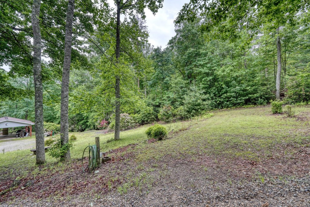 311 Lonesome Pine Trail Property Photo 84