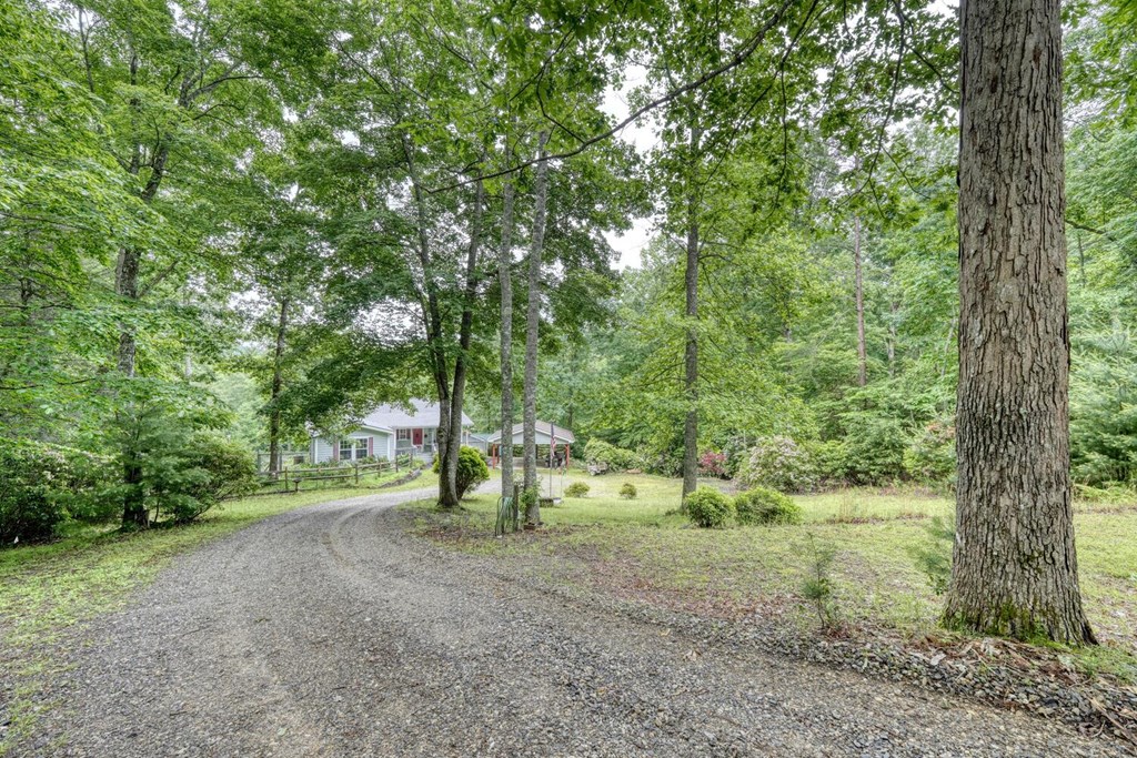 311 Lonesome Pine Trail Property Photo 85
