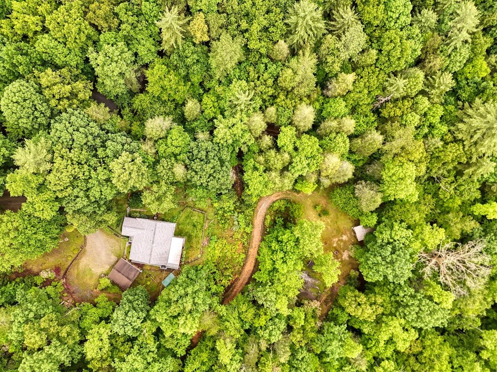 311 Lonesome Pine Trail Property Photo 86