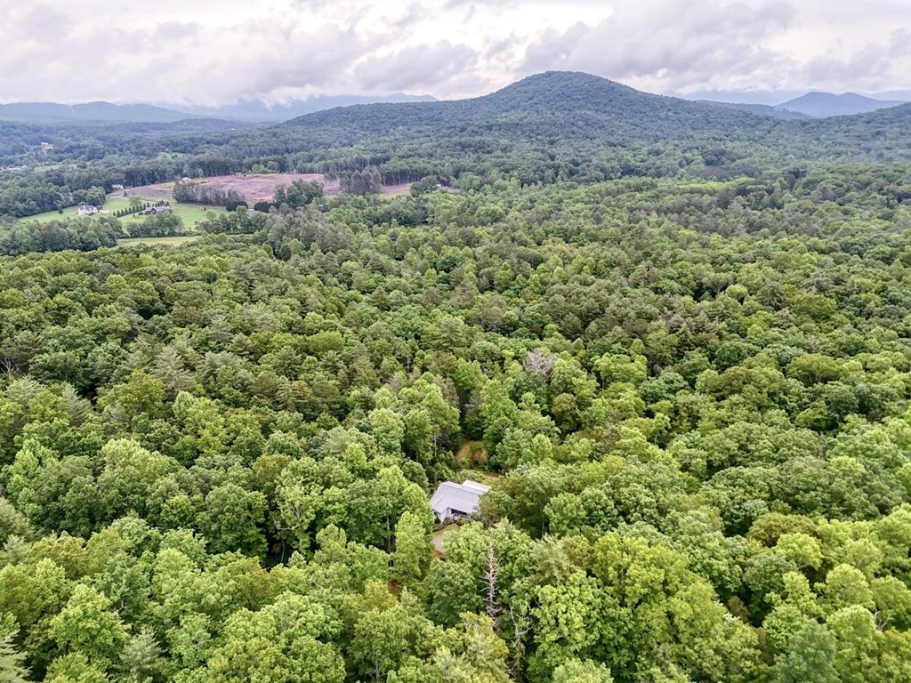 311 Lonesome Pine Trail Property Photo 87