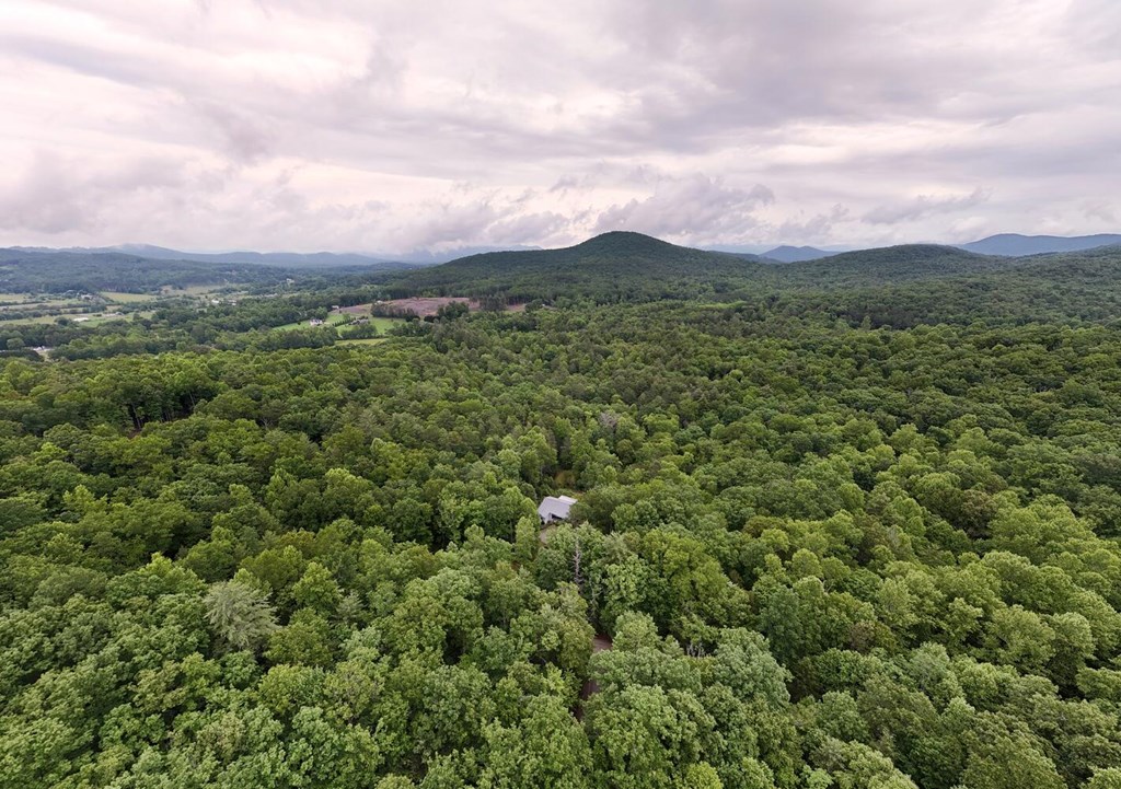 311 Lonesome Pine Trail Property Photo 88