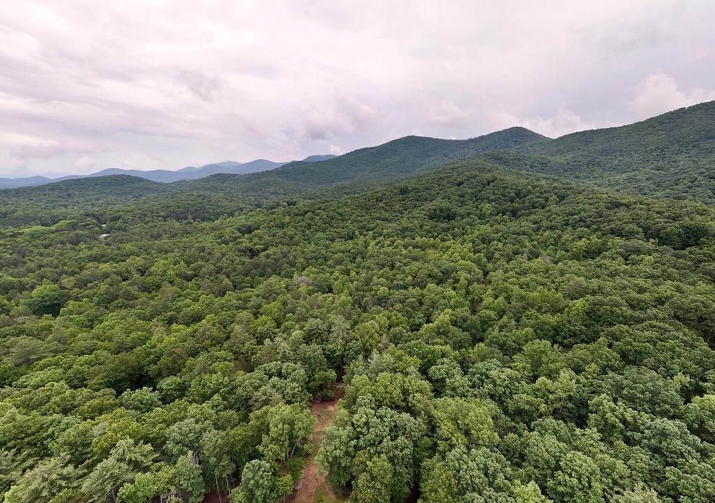 311 Lonesome Pine Trail Property Photo 89