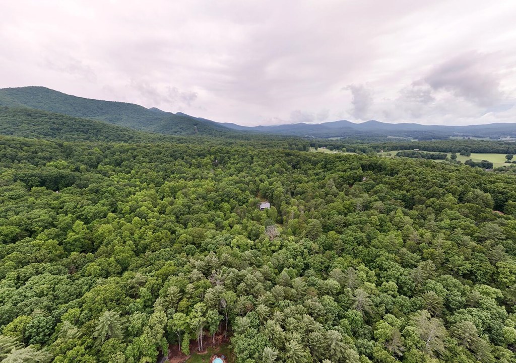 311 Lonesome Pine Trail Property Photo 90