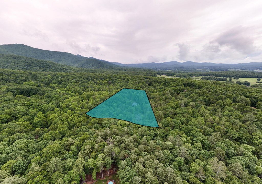 311 Lonesome Pine Trail Property Photo 91