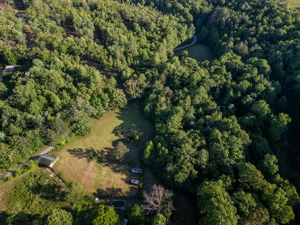 4.59 Ac Briar Cove Road Property Photo 1