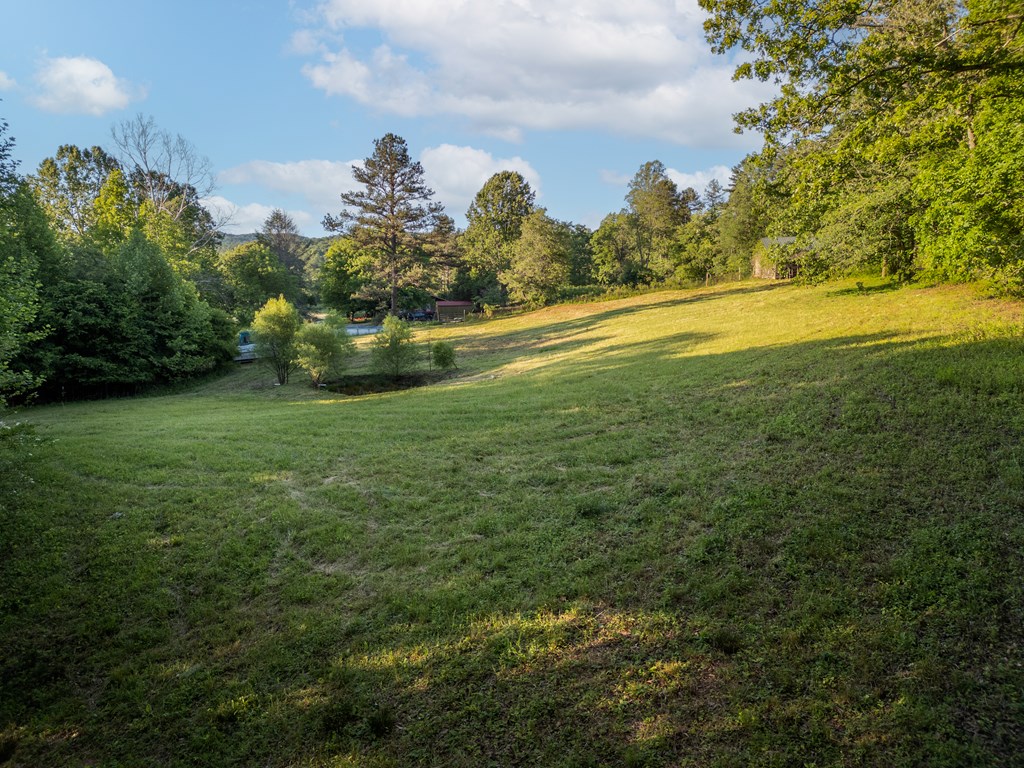 4.59 Ac Briar Cove Road Property Photo 3