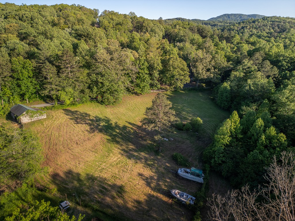 4.59 Ac Briar Cove Road Property Photo 5