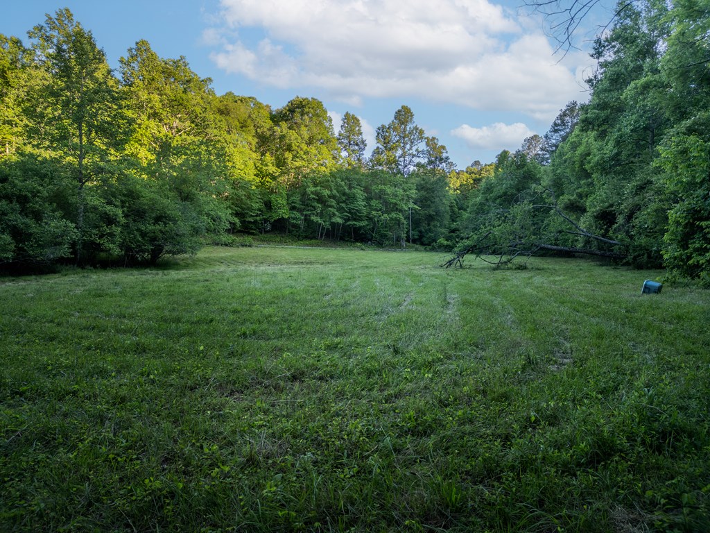 4.59 Ac Briar Cove Road Property Photo 6