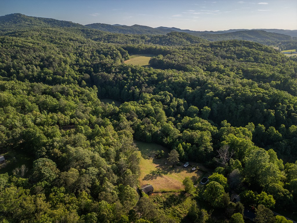 4.59 Ac Briar Cove Road Property Photo 7