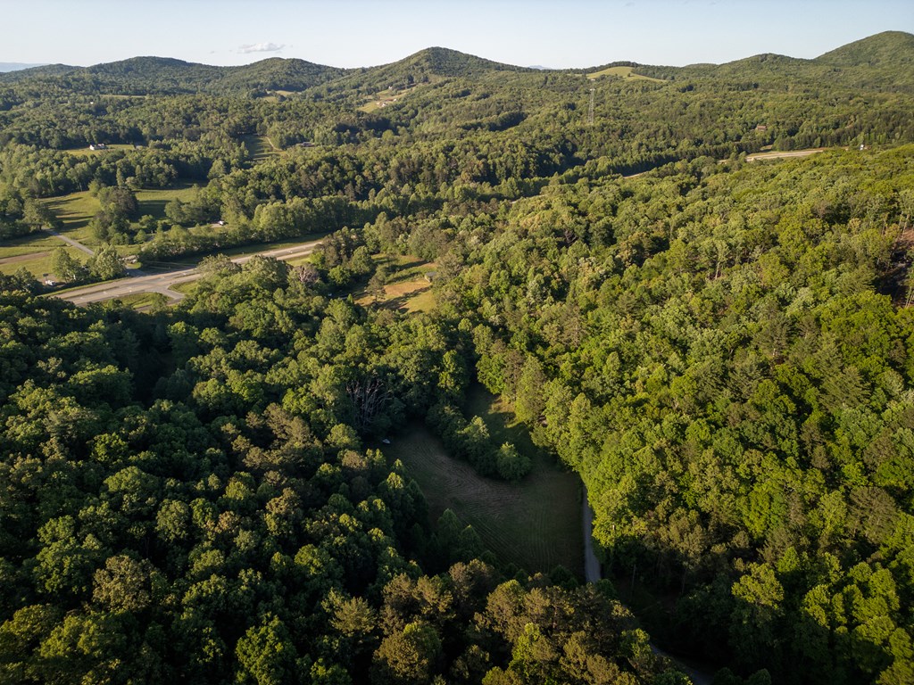 4.59 Ac Briar Cove Road Property Photo 8