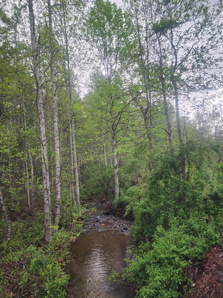 4.59 Ac Briar Cove Road Property Photo 9