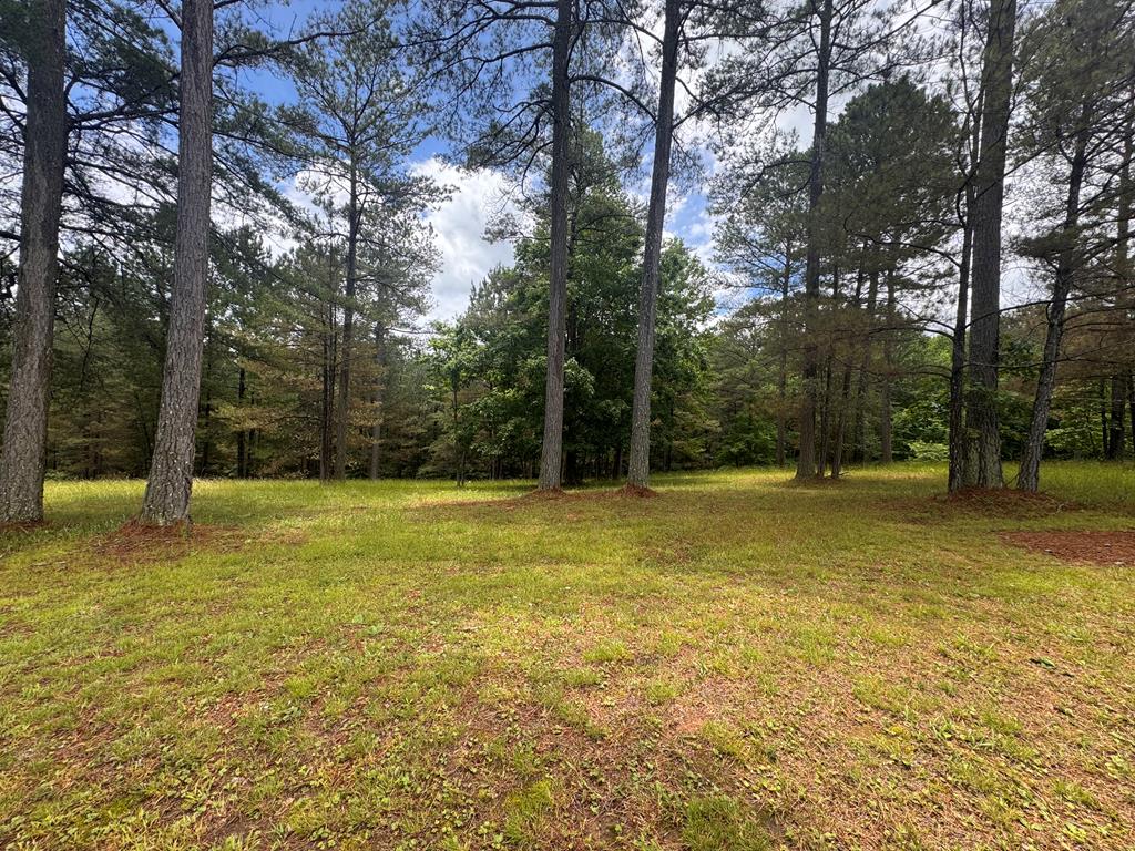 Lot 45 Sweetwater Lane Property Photo 1