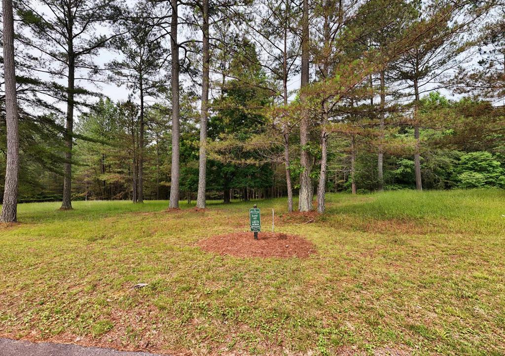 Lot 45 Sweetwater Lane Property Photo 1