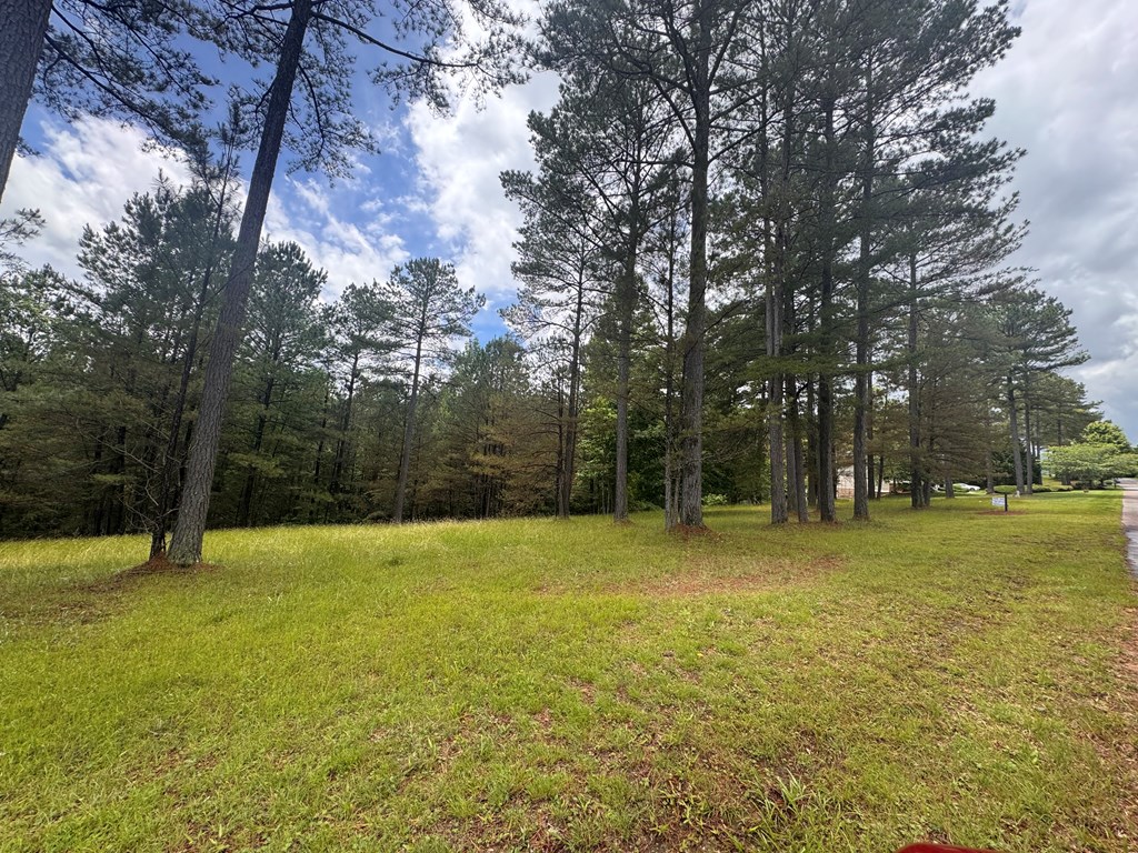 Lot 45 Sweetwater Lane Property Photo 2