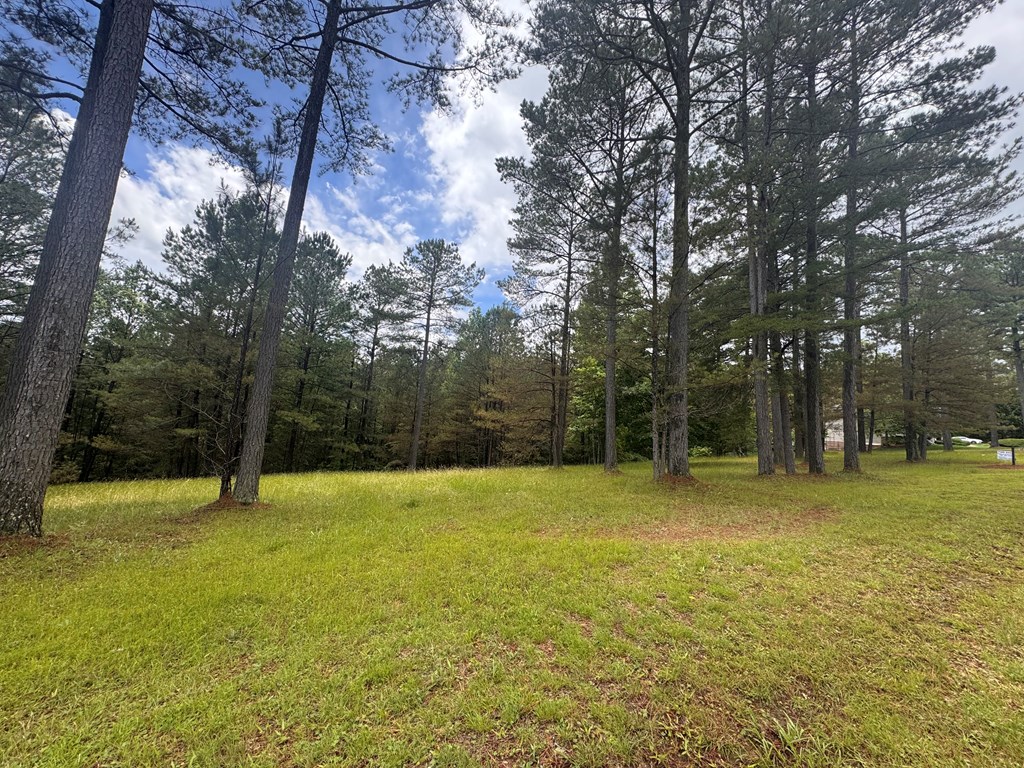 Lot 45 Sweetwater Lane Property Photo 3