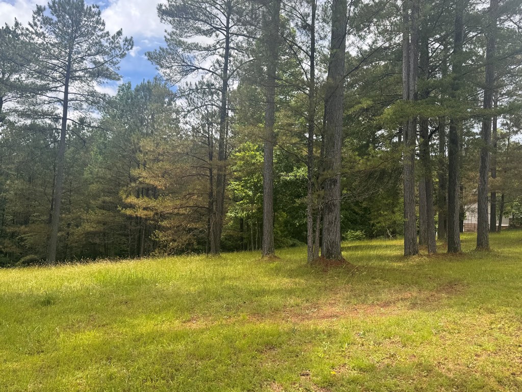 Lot 45 Sweetwater Lane Property Photo 4