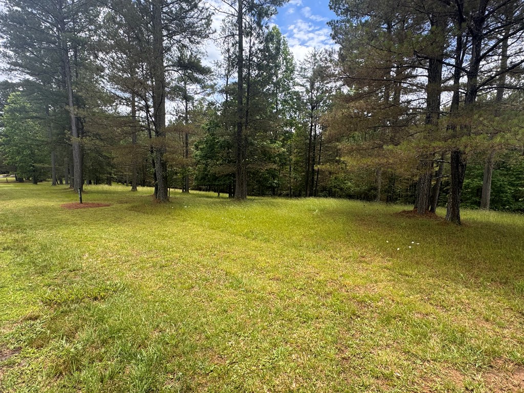 Lot 45 Sweetwater Lane Property Photo 5