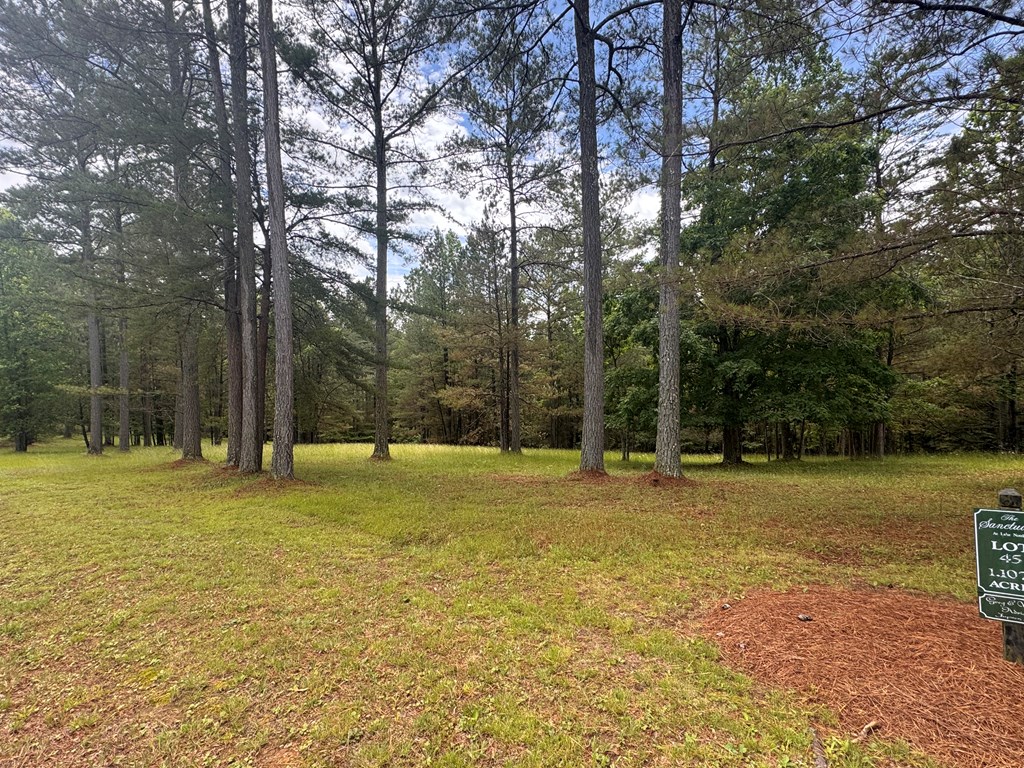 Lot 45 Sweetwater Lane Property Photo 7