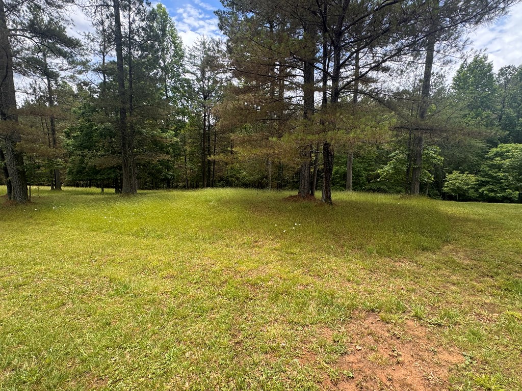 Lot 45 Sweetwater Lane Property Photo 8