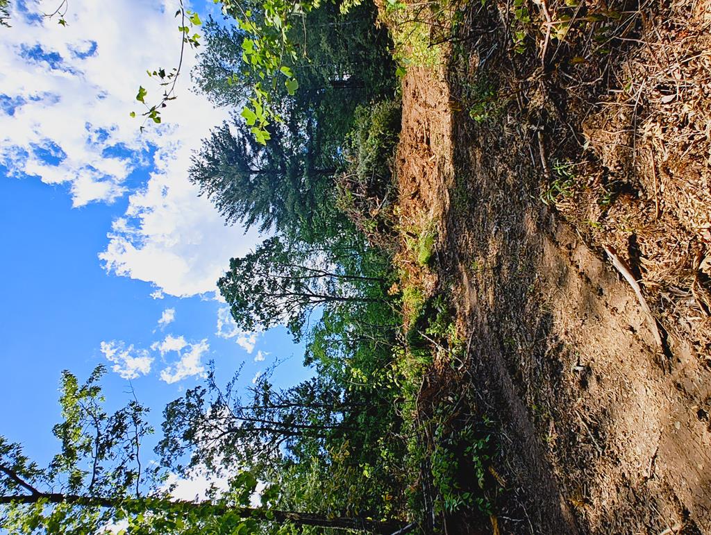 Lot 4 Megan Trace Drive Property Photo 1
