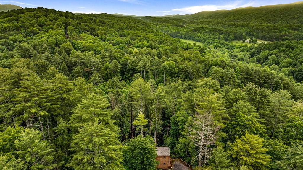 231 Conley Branch Road Property Photo 45