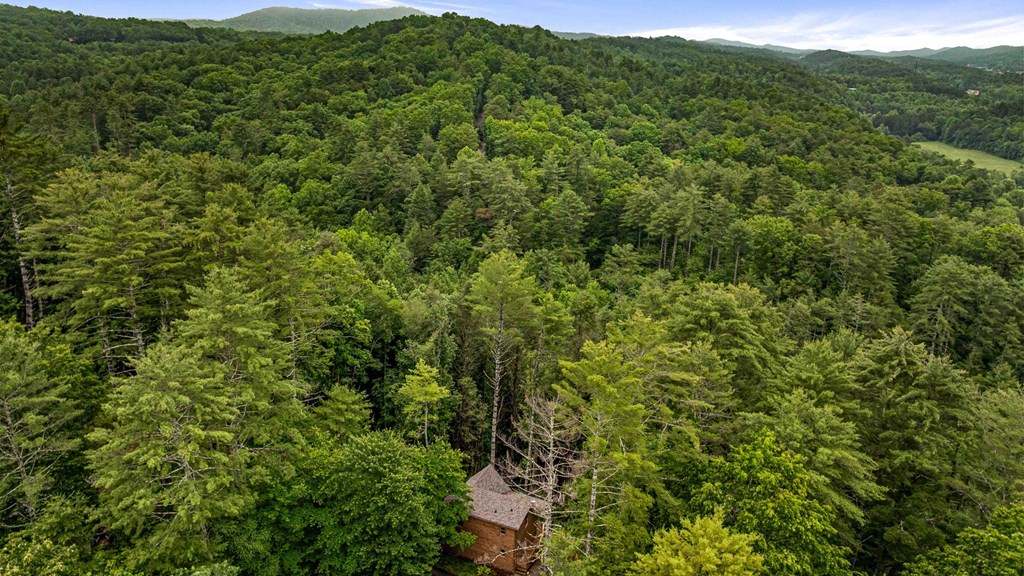 231 Conley Branch Road Property Photo 46
