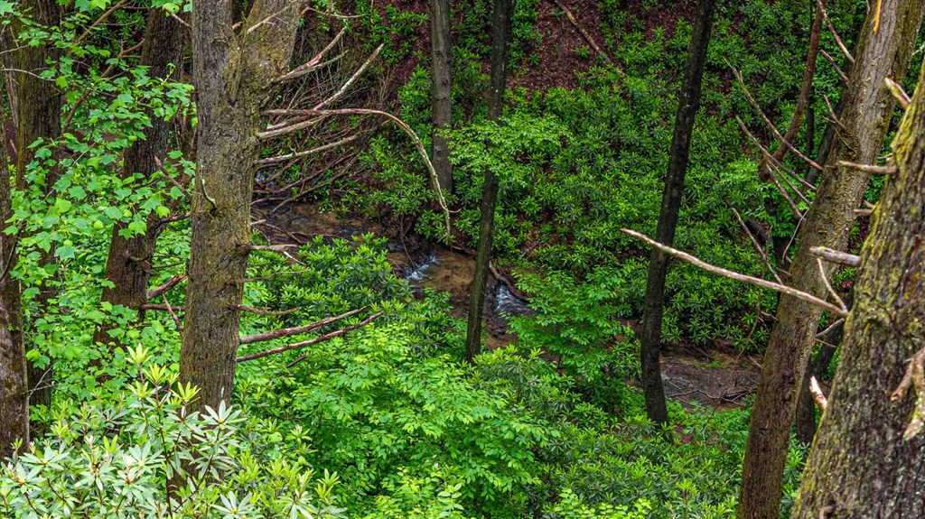 231 Conley Branch Road Property Photo 52