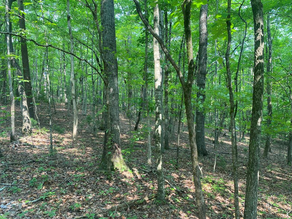 Lt 51 Property Photo 1