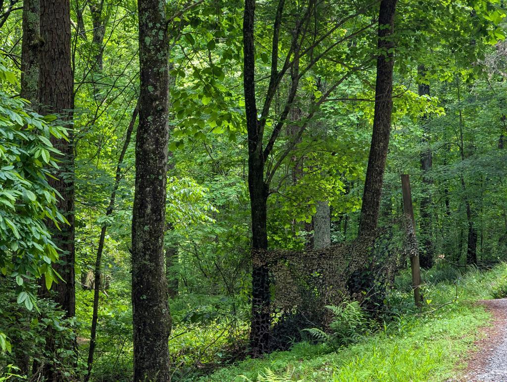 00 Wildwood Trail Property Photo 3