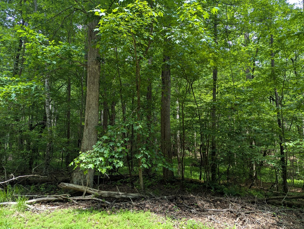 00 Wildwood Trail Property Photo 6