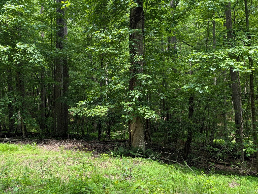 00 Wildwood Trail Property Photo 7