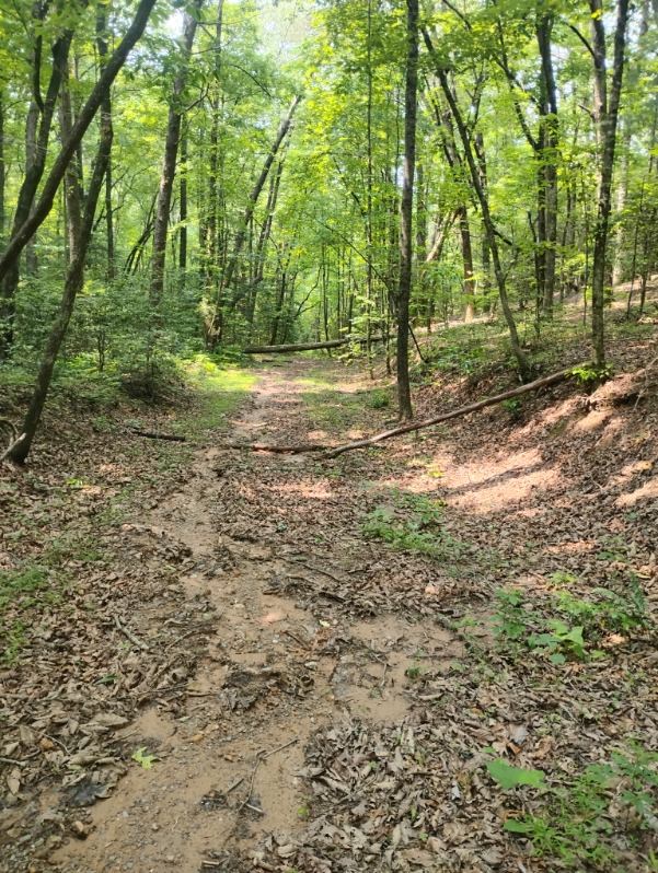 11.12 Ac Lowman Road Property Photo 3