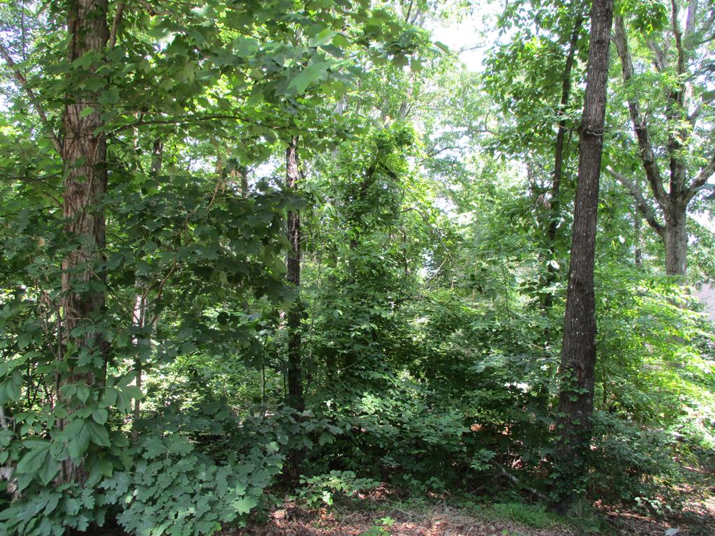 74A Licklog Ridge Property Photo 1