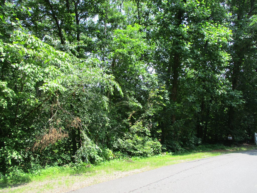 74a Licklog Ridge Property Photo 3