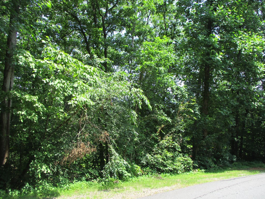 74a Licklog Ridge Property Photo 5