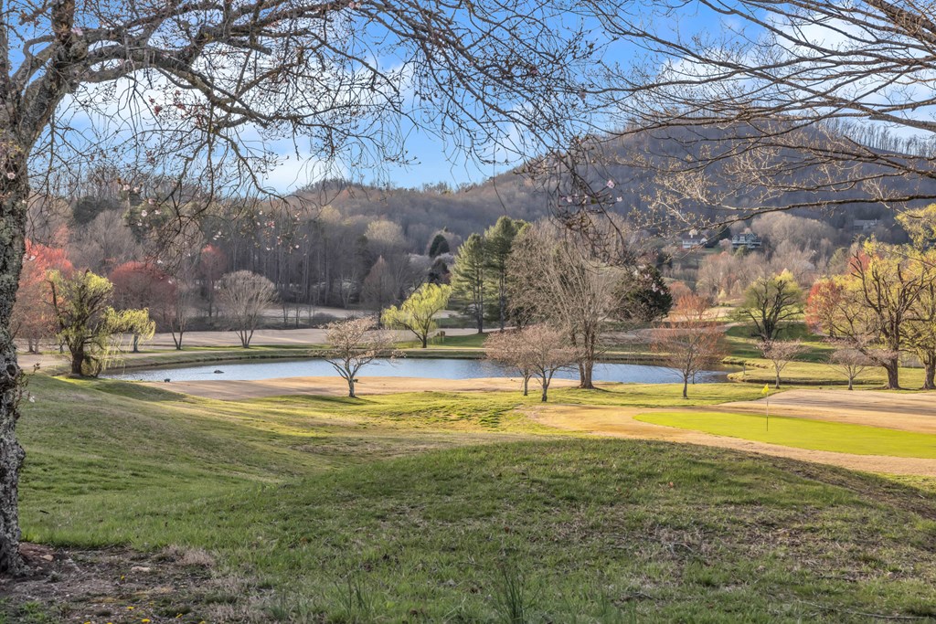 74a Licklog Ridge Property Photo 6